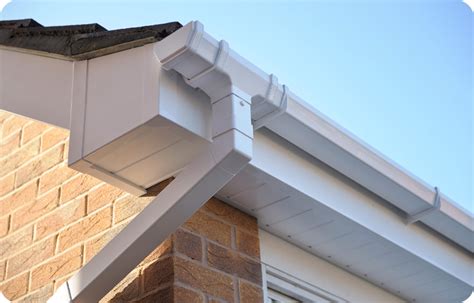 Fascia and soffit cleaning